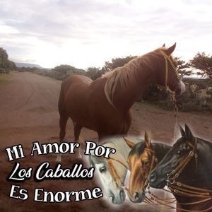 Meet your Posher, Adan